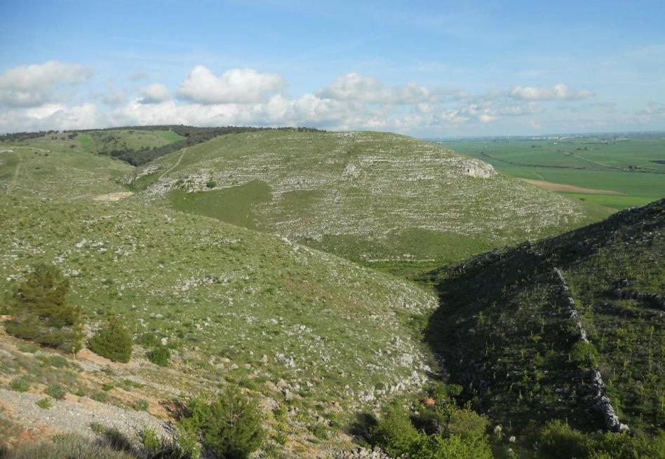Il Borgo Antico B&B Altamura Dış mekan fotoğraf